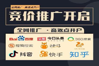 百度推广优化策略：成功案例解析